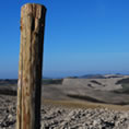 campagna toscana colline pisane